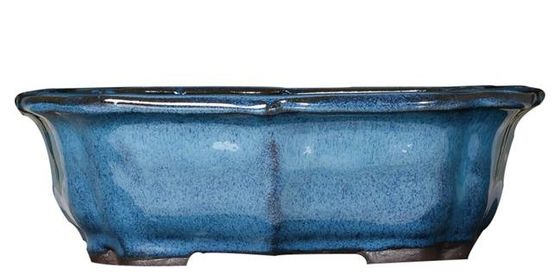 Βερνικωμένο μπονσάι 30x23x10cm μπλε κεραμικά δοχεία εσωτερικών εγκαταστάσεων